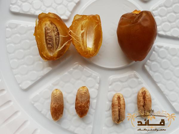 مرجع خرید خرما برحی تازه