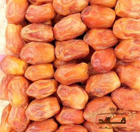 عرضه بی واسطه خرمای زاهدی پشتکوه