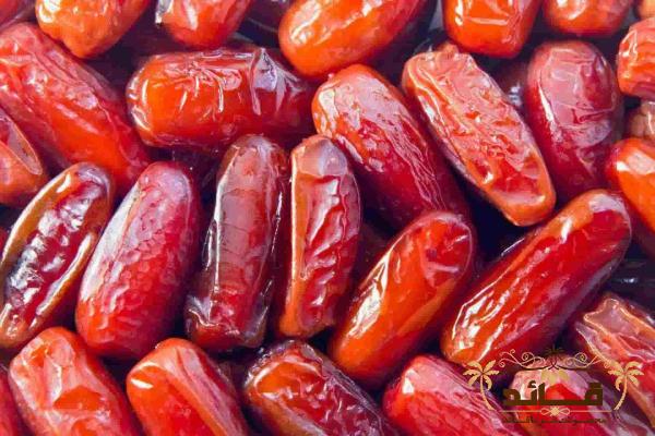 راهنمای خرید خرما پیارم اصل + قیمت عالی