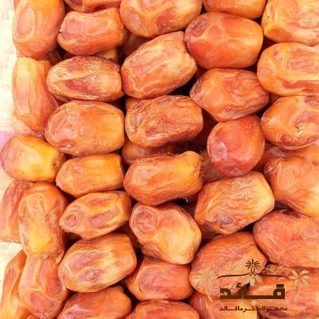 راهنمای خرید خرما زاهدی پشت کوه + قیمت عالی